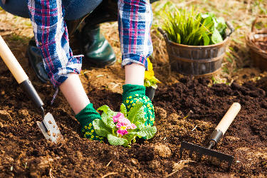 Gardening Club.